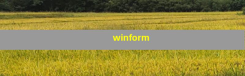 winform