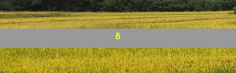 δ
