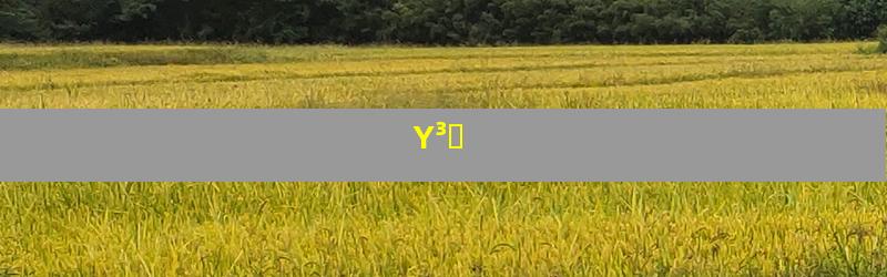 Ү³ר