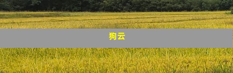 狗云