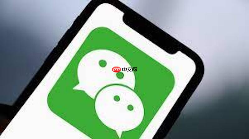 微信电脑版文件位置 微信电脑版文件在哪个目录