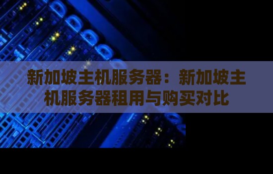 新加坡主机服务器：新加坡主机服务器租用与购买对比
