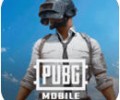 地铁逃生国际服下载官方正版-地铁逃生国际服PUBG下载官方最新版本