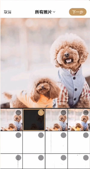 绿洲如何发布动态 绿洲发布动态教程