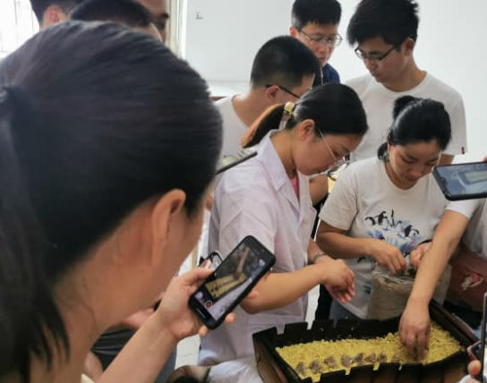 学中医从哪里入门？初学中医从哪入手自学